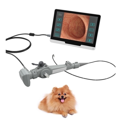 250mm Veterinary Medical Equipment Veterinary Gastroscope For Cat Dog Horse