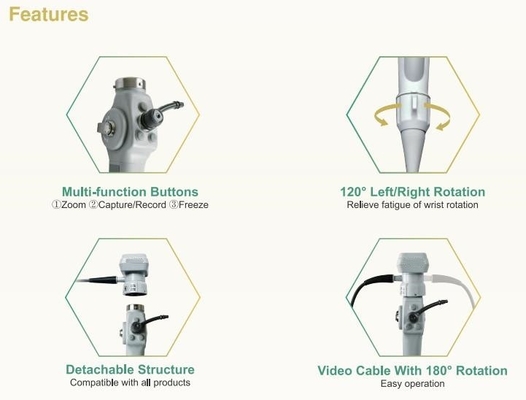 Portable Flexible Video Endoscope For Animal Cystoscopy Bronchscopy