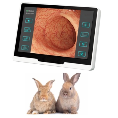 ODM Veterinary Medical Equipment Flexible Intubation Video Endoscope For Vet