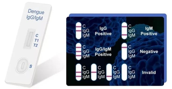 LgG IgM Rapid Diagnostic Test Kit Cassette Dengue Antigen Rapid Test